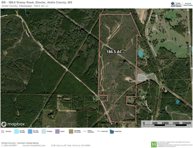 186.5 Acre Hunting Land for Sale Amite County, MS - image 14