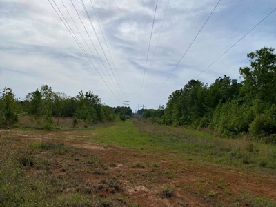 186.5 Acre Hunting Land for Sale Amite County, MS - image 8
