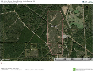 186.5 Acre Hunting Land for Sale Amite County, MS - image 13