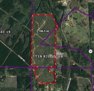 186.5 Acre Hunting Land for Sale Amite County, MS - image 6