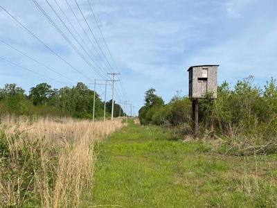 186.5 Acre Hunting Land for Sale Amite County, MS - image 1