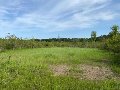 186.5 Acre Hunting Land for Sale Amite County, MS - image 11