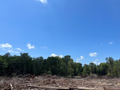 Planted Pine w/ County RD access for Sale near Stephens, AR - image 11