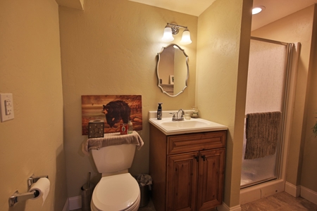 Mountain Home for Sale in Western Colorado - image 2