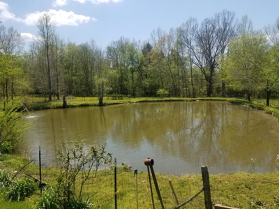 Sold! 2 Tn Homes 6 Acre Creek Pond Buildings Fruit Trees - image 10