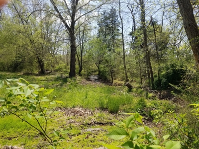 Sold! 2 Tn Homes 6 Acre Creek Pond Buildings Fruit Trees - image 11