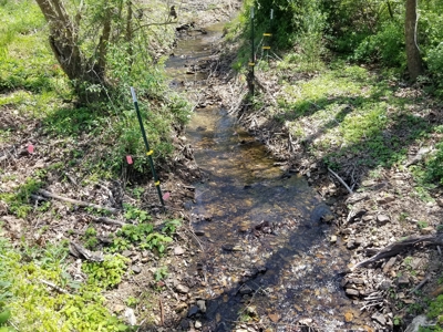 Sold! 2 Tn Homes 6 Acre Creek Pond Buildings Fruit Trees - image 13
