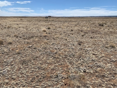 Alamosa River Estate Lot for Sale in Capulin, CO! - image 2