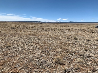 Alamosa River Estate Lot for Sale in Capulin, CO! - image 3