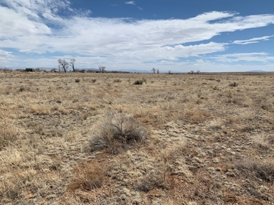 Alamosa River Estate Lot for Sale in Capulin, CO! - image 4