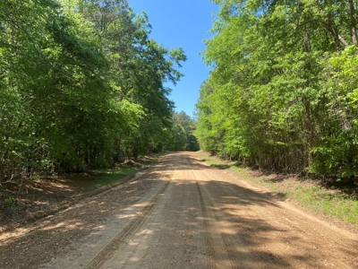 Timberland W/ County Rd Frontage For Sale Near Stephens, Ar - image 2