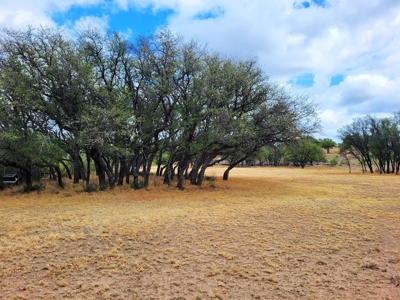 Large Country Home and Land in Central West Texas - image 21