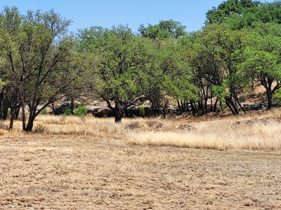 Large Country Home and Land in Central West Texas - image 19
