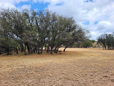 Large Country Home and Land in Central West Texas - image 23