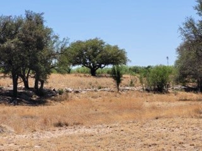 Large Country Home and Land in Central West Texas - image 32