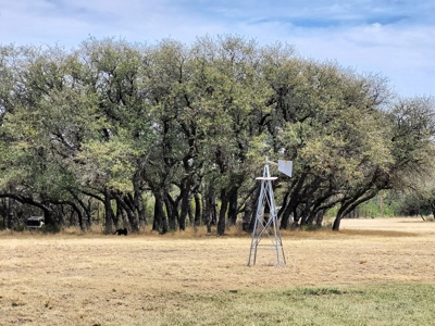 Large Country Home and Land in Central West Texas - image 7