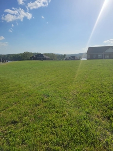 .53 Acres Lake View Property For Sale in Morristown, TN - image 1