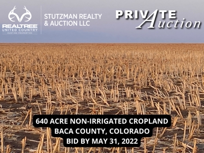 Baca County, Colorado ~ 640 Acres ~ Private Auction - image 2