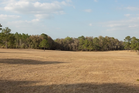 3/3 Brick Home on 98 Acres in Live Oak, FL For Sale - image 14