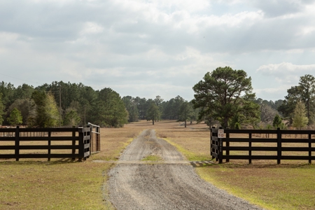 3/3 Brick Home on 98 Acres in Live Oak, FL For Sale - image 7