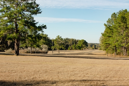 3/3 Brick Home on 98 Acres in Live Oak, FL For Sale - image 2
