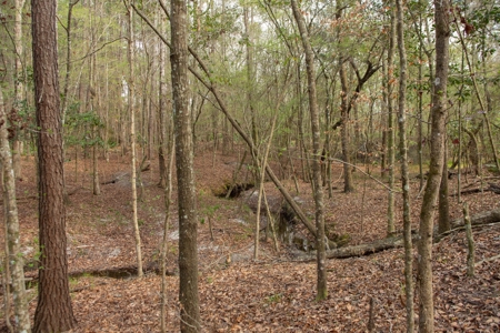 3/3 Brick Home on 98 Acres in Live Oak, FL For Sale - image 10