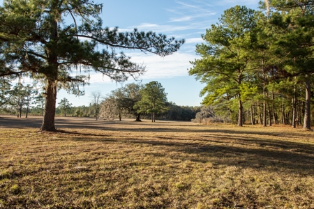 3/3 Brick Home on 98 Acres in Live Oak, FL For Sale - image 6