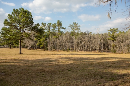 3/3 Brick Home on 98 Acres in Live Oak, FL For Sale - image 17