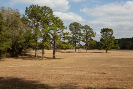 3/3 Brick Home on 98 Acres in Live Oak, FL For Sale - image 8