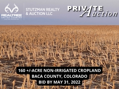 Baca County Colorado ~ Tr#3 ~ 160 Acres ~ Private Auction - image 2