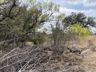 Kings Point Cove Residential Lot 479 at Lake Brownwood - image 11