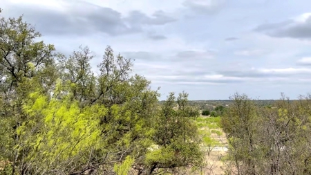 Kings Point Cove Residential Lot 479 at Lake Brownwood - image 3