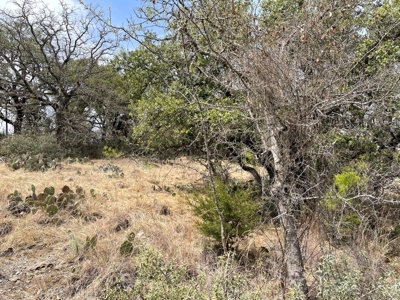 Kings Point Cove Residential Lot 479 at Lake Brownwood - image 9