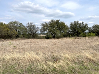 Kings Point Cove Residential Lot 479 at Lake Brownwood - image 10