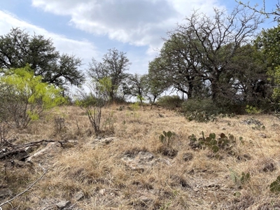 Kings Point Cove Residential Lot 479 at Lake Brownwood - image 7