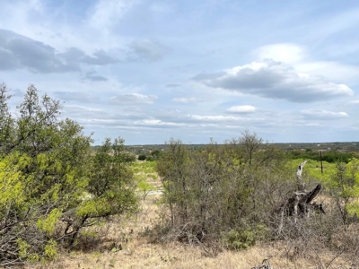 Kings Point Cove Residential Lot 479 at Lake Brownwood - image 1