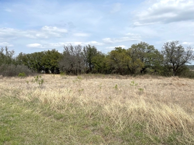 Kings Point Cove Residential Lot 479 at Lake Brownwood - image 5