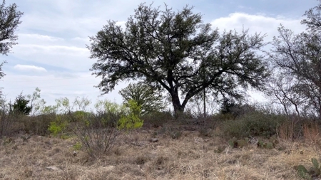 Kings Point Cove Residential Lot 479 at Lake Brownwood - image 2