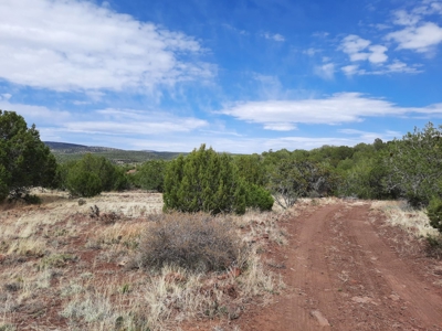 Hunting Property, 30 ft Trailer, Borders Public Land - image 23