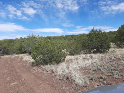 Hunting Property, 30 ft Trailer, Borders Public Land - image 22