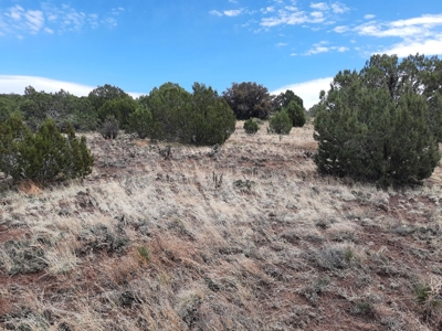 Hunting Property, 30 ft Trailer, Borders Public Land - image 2