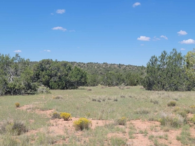 Very Secluded - image 3