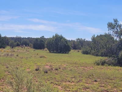 Very Secluded - image 4