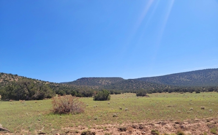 Very Secluded - image 1