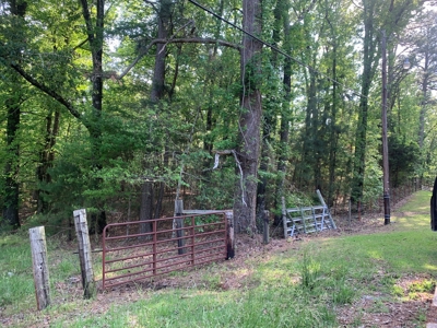 Timberland for Sale near Camden, AR w/ Res. Road Frontage - image 2