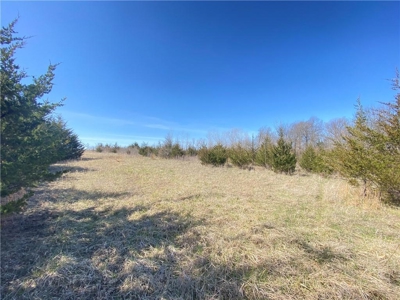 Country Home on Acreage For Sale. Hunting, Fishing, Pasture - image 29