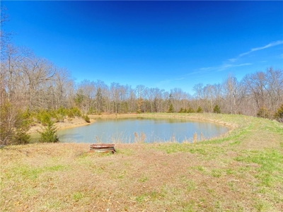 Country Home on Acreage For Sale. Hunting, Fishing, Pasture - image 25