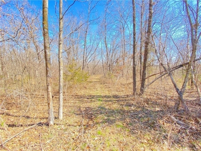 Country Home on Acreage For Sale. Hunting, Fishing, Pasture - image 26