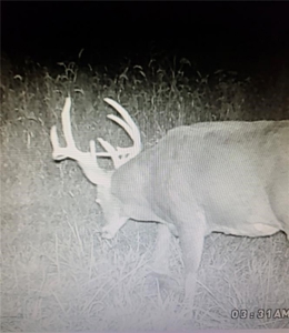Country Home on Acreage For Sale. Hunting, Fishing, Pasture - image 36