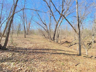 Country Home on Acreage For Sale. Hunting, Fishing, Pasture - image 28